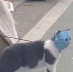 Meet your Posher, Carmen